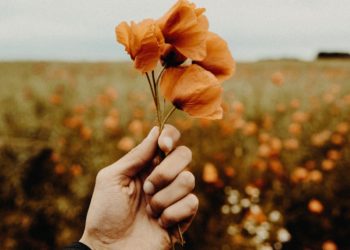 When It's Good to Say, "I'm Sorry."