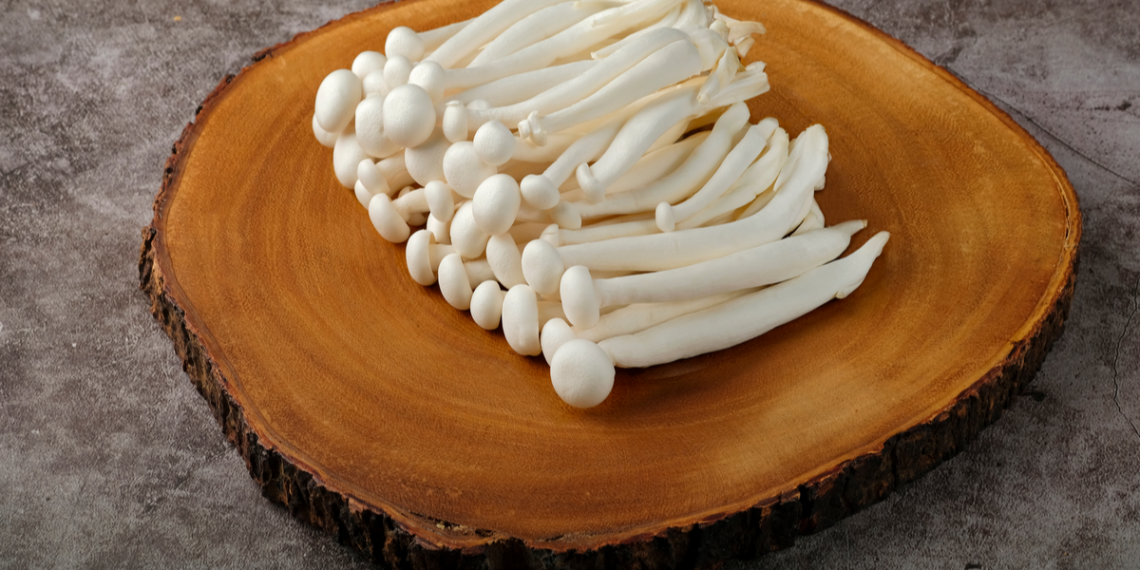 7 Best Shimeji Mushroom Recipes that Will Knock You Off Your Feet